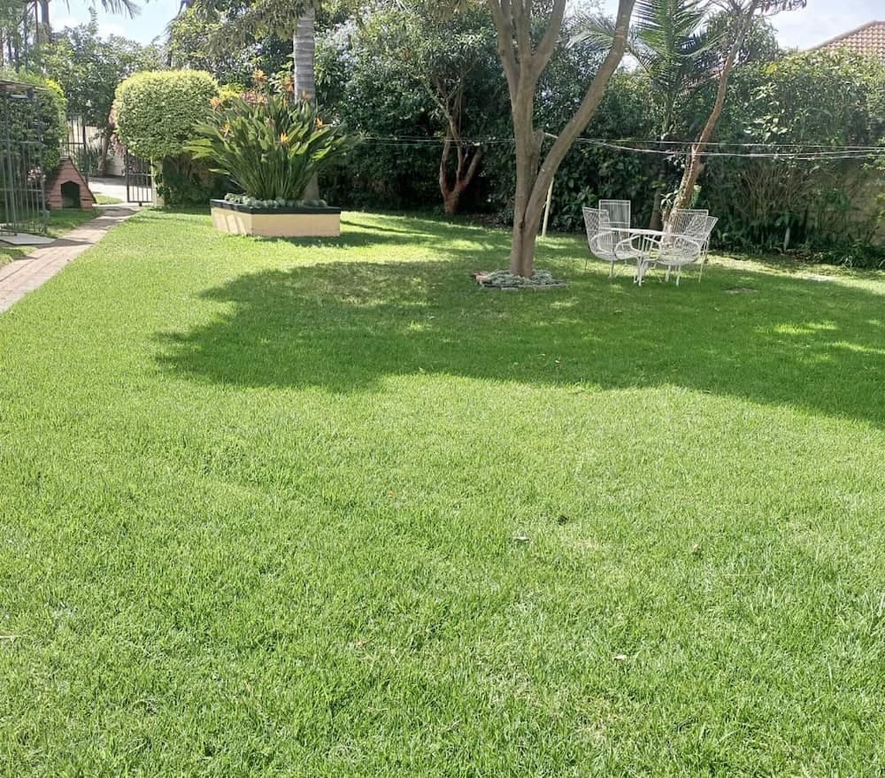 Neat and Cosy Cottage With Pool - 2103