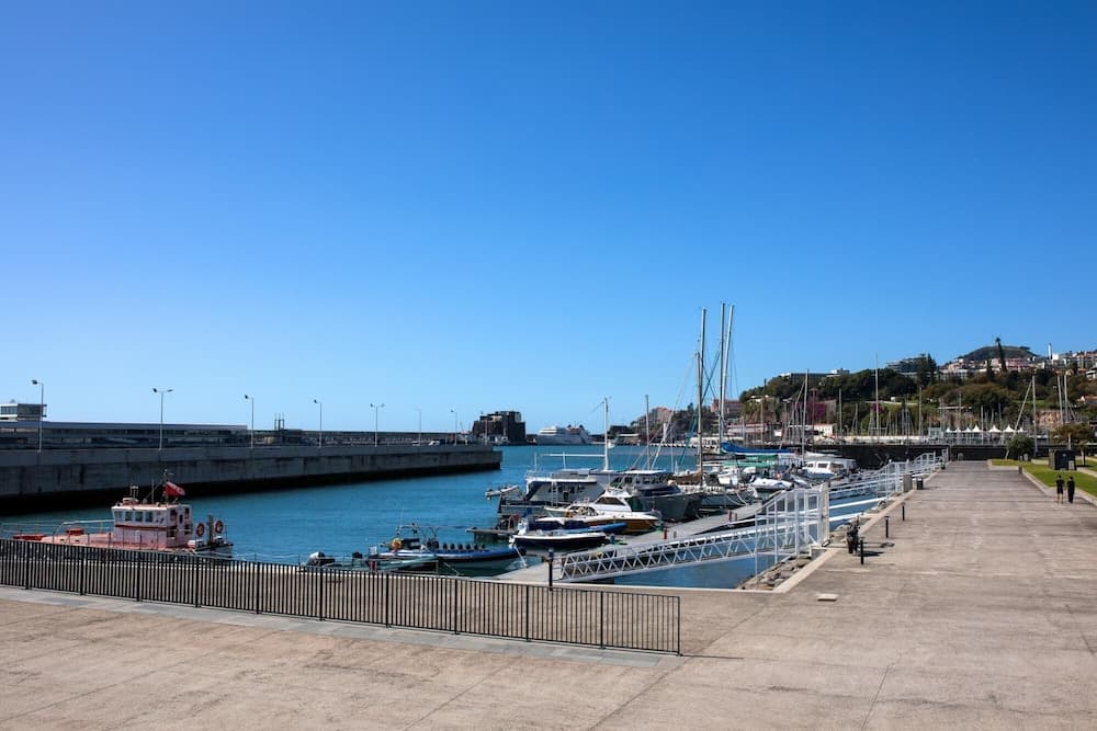 Ribeira das Casas Apt 1A by Homie