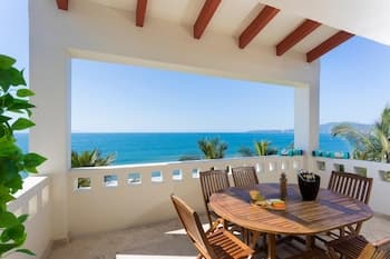 Flamingos Conchas 502