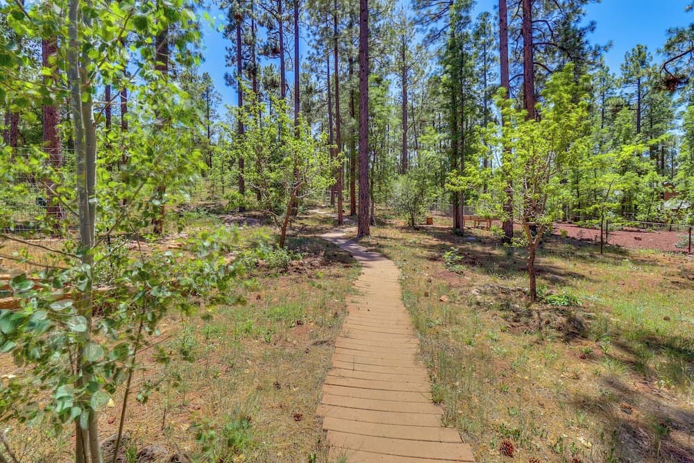 Hot Tub & Game Room: All-season Pinetop Cabin