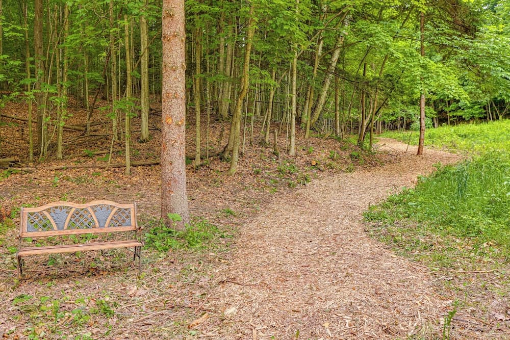 Secluded Suttons Bay Retreat w/ Fire Pit!