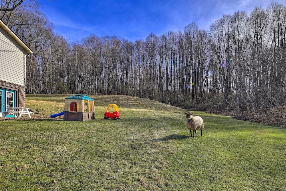 Pet-friendly Home w/ Grill & Farm in Meadowview!