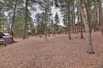 Quaint Show Low Cabin With Deck & Fireplace!