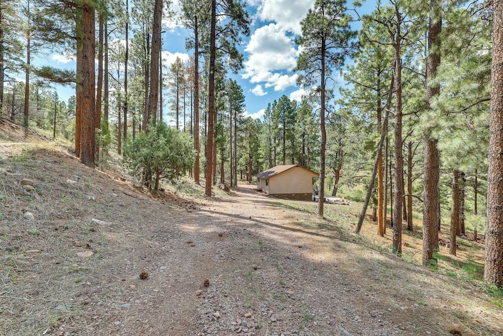 Peaceful Nutrioso Cabin Retreat w/ Mountain Views!