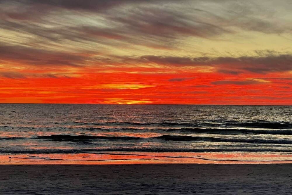 Beachfront Indian Shores Condo - Pool & Hot Tub!