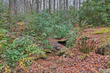 Creekside Mtn Retreat by Waterfalls & Hiking!