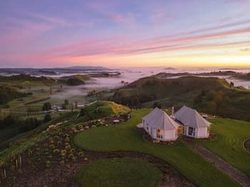 Wild Canvas - Pōhutukawa Tent