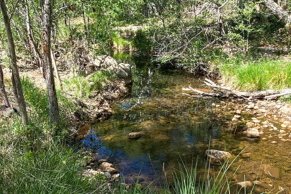 Tonto Nat'l Forest Riverside Cabin!