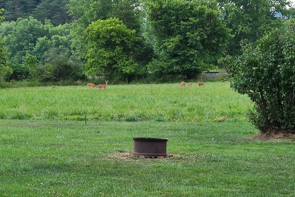 Cozy Family Home w/ Kayaks, Dock & Fire Pit!