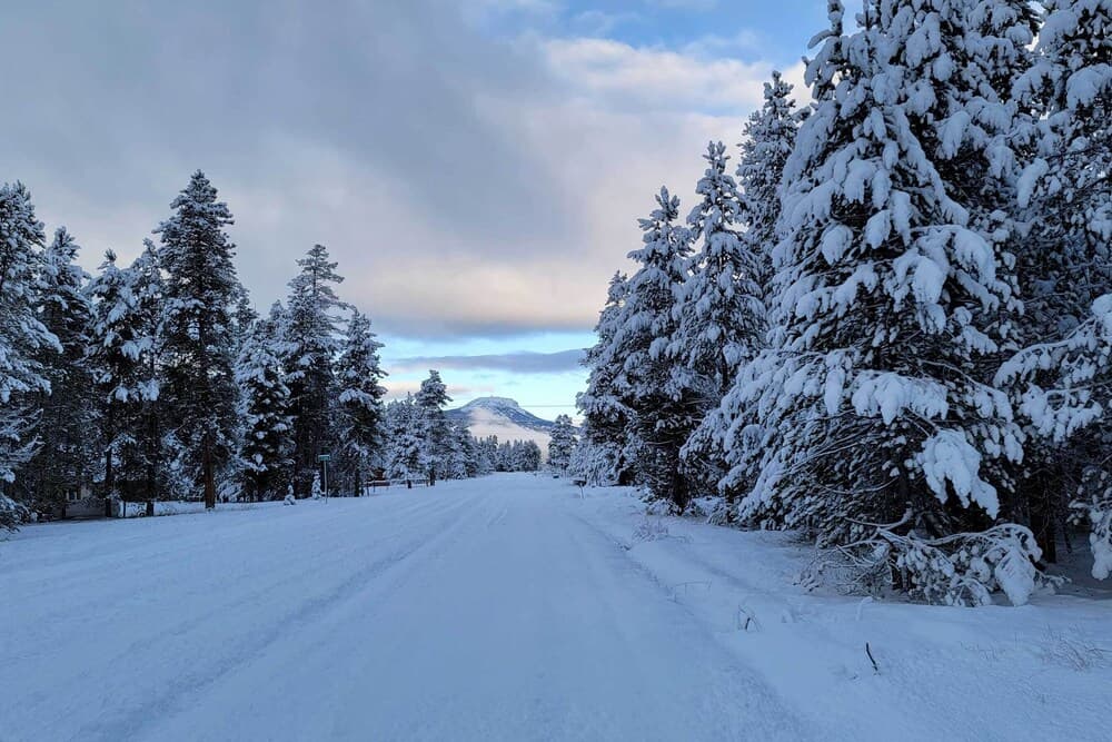 Adventurer's Studio ~ 20 Mi to West Yellowstone!