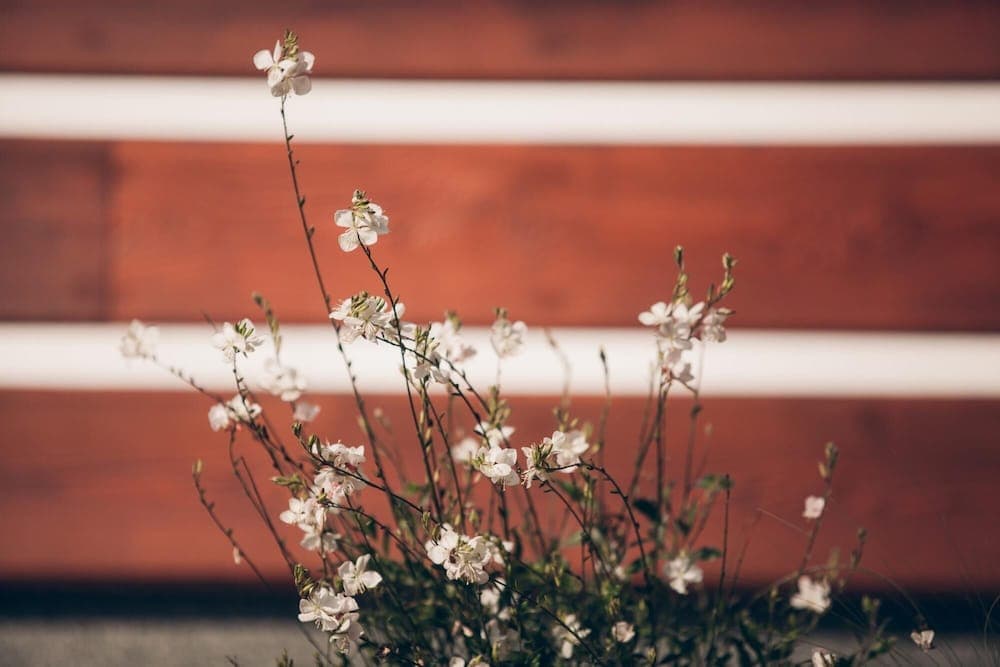 Lazne Libverda Llp015