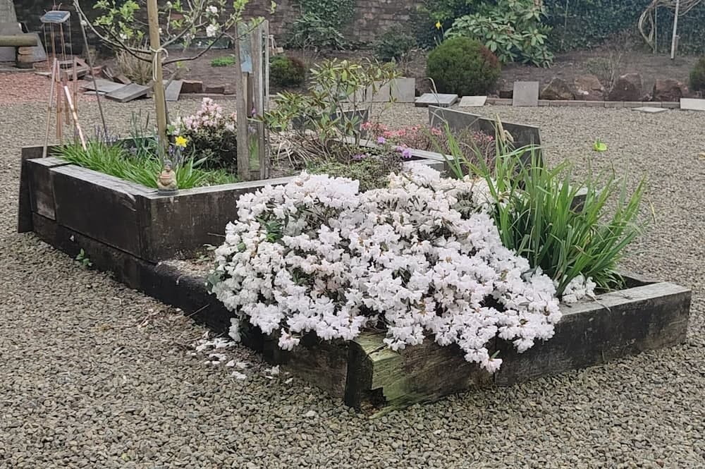 The Cabin Quiet, Relaxing and dog Friendly