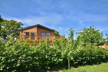 E7 Roebeck Country Park Immaculate Lodge