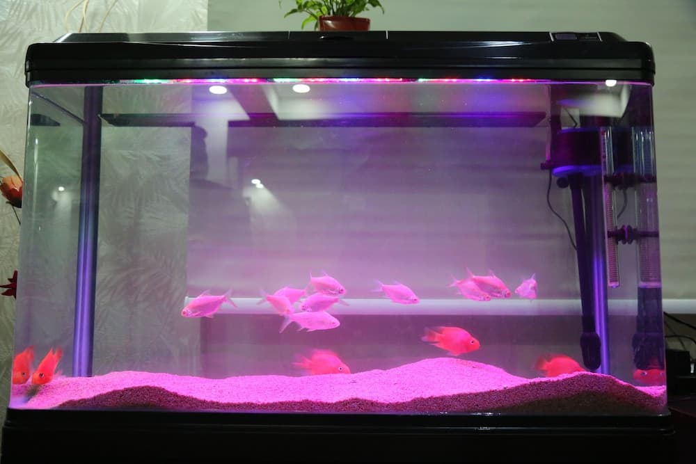 Hotel Bangalore Airport Inn