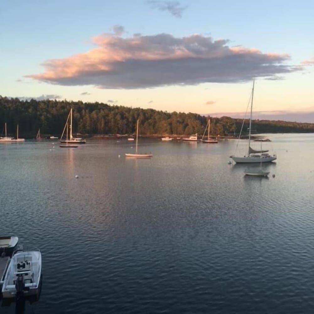 Left Bank - New! Blue Hill Bay!