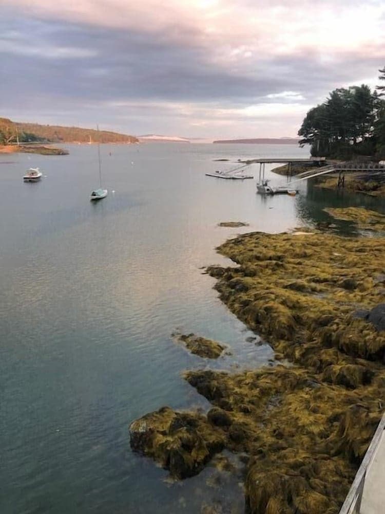 Left Bank - New! Blue Hill Bay!