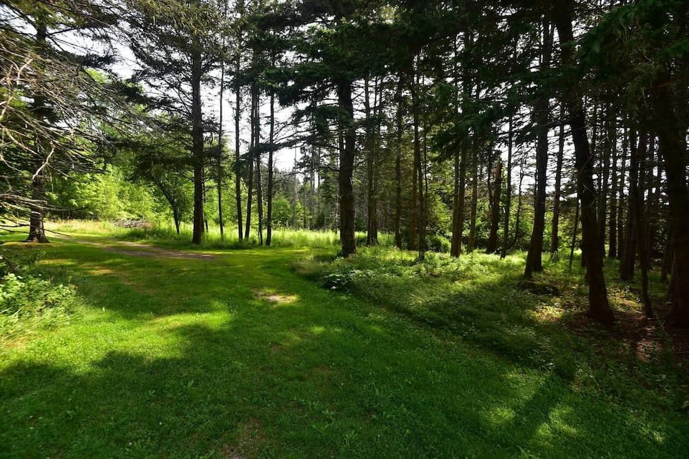 Cottage on Northwest Harbor