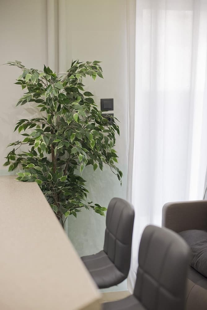 Blue Dream in Piraeus