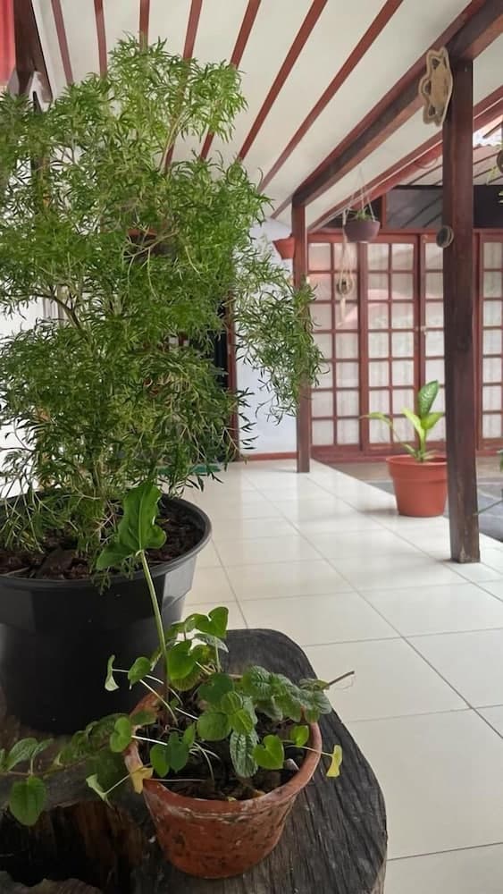 Casa Amazonica Iquitos