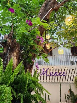 Munee Hostel Chiangmai
