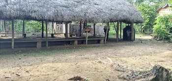 Turismo Comunitario Mirador Kallari