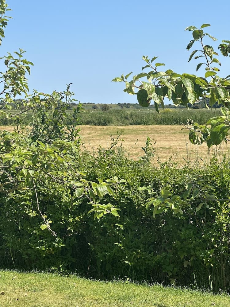 Luxury Glamping Pod With Hot Tub, fee Applies
