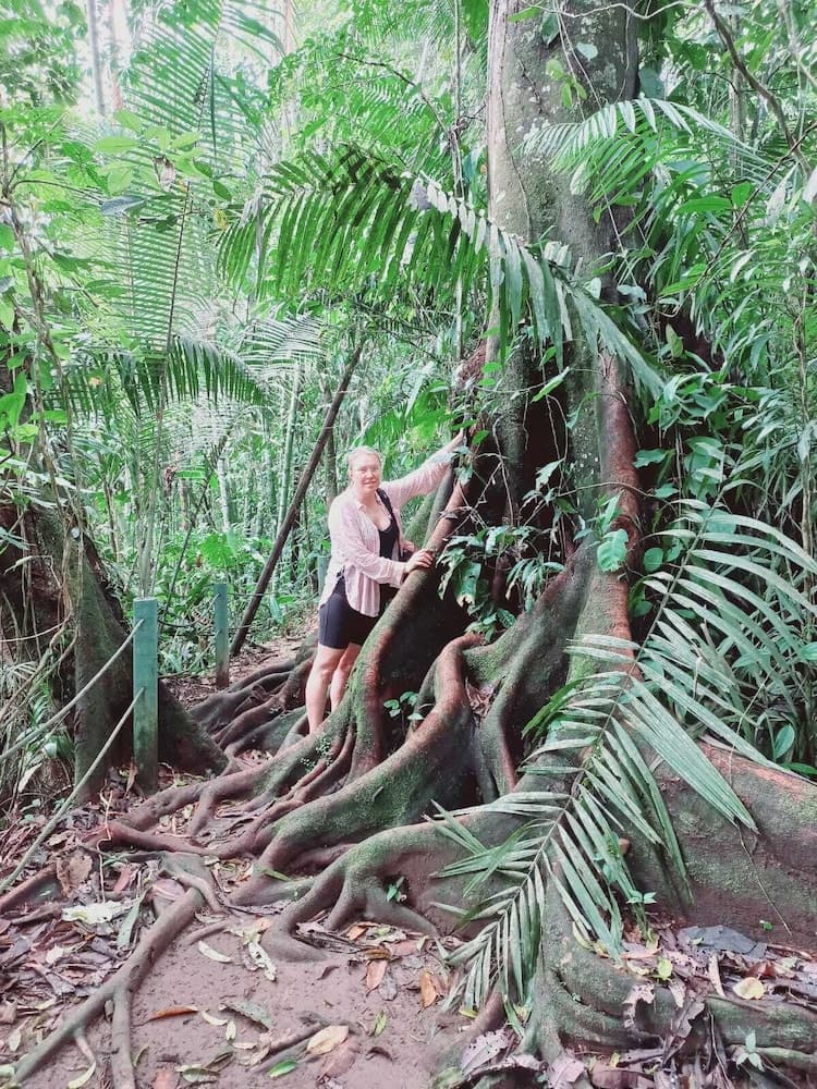 AYAWASKA ATRACTIVO SACHA WASI