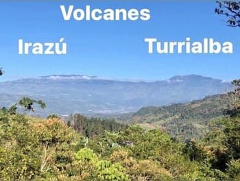 Cabañas Colibrí Tayutic