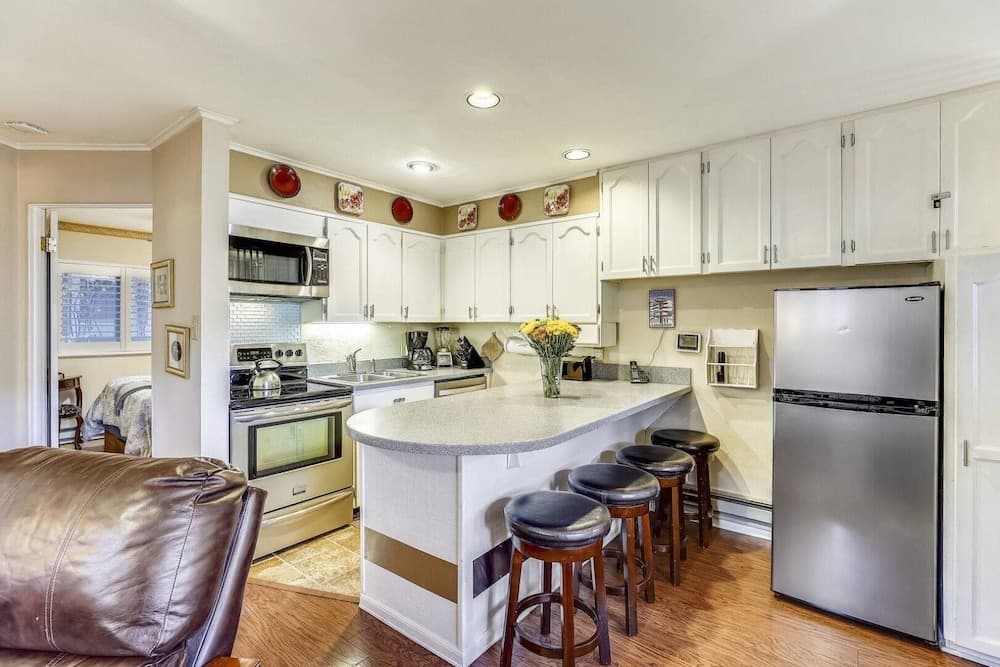 Downtown Aspen 2 Bedroom Condo - Silverbell