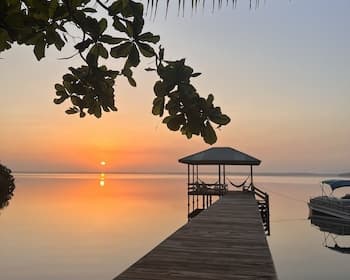 Los Olingos Lodge - Bird Paradise