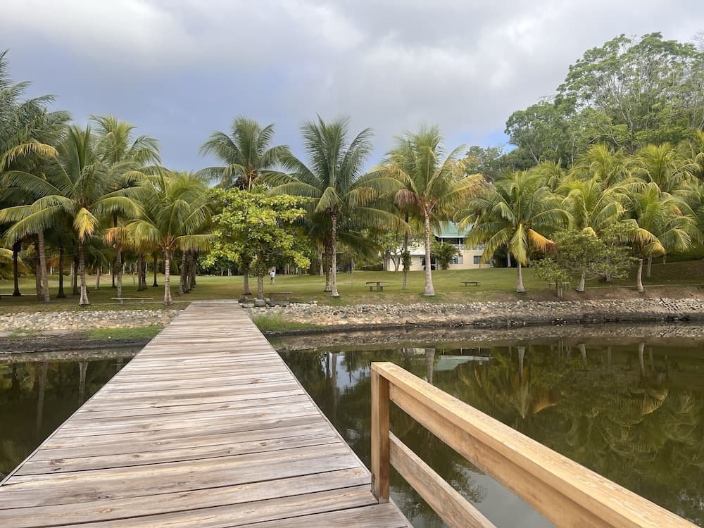 Los Olingos Lodge - Bird Paradise