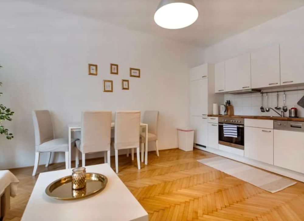 Apartment in the  center Vienna Austria