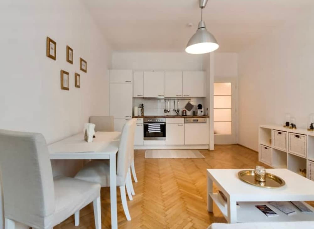 Apartment in the  center Vienna Austria