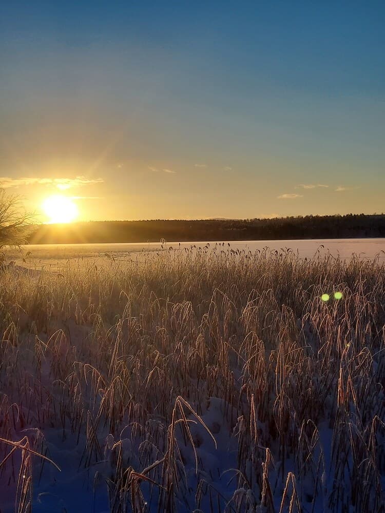 Föllinge Bed and Breakfast
