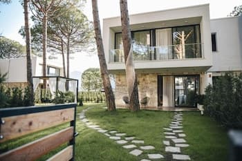 Parrots Home Lalez Bay