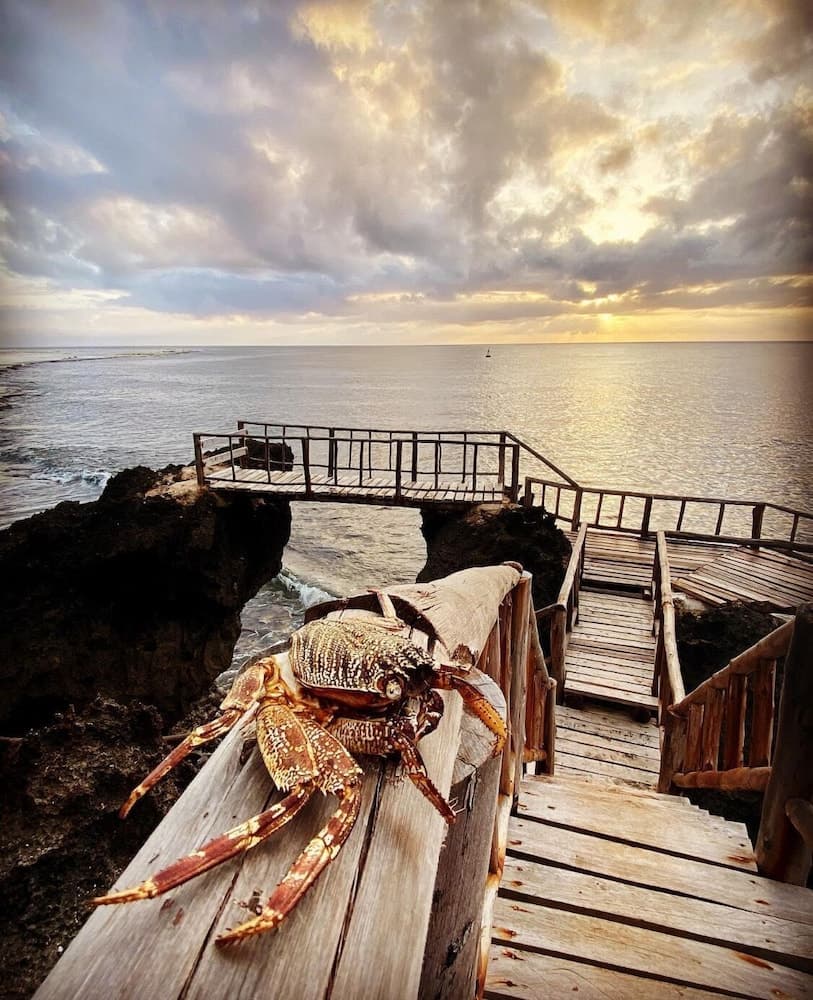 Room in Guest Room - Eagle Suite 38m2 in Villa 560 m2, Indian Ocean View