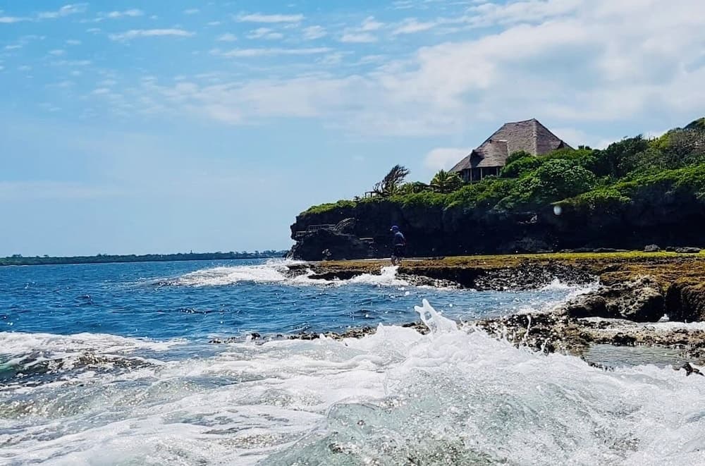 Room in Guest Room - Colobus Suite of 40m2 in Villa 560 m2, View of the Indian Ocean