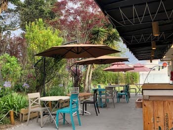 Charles Darwin & Luis Felipe Borja