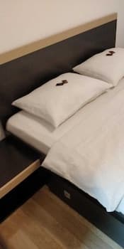 Cazare Business-Transit