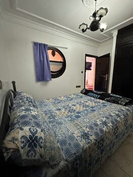 Dinosaure anza surf house