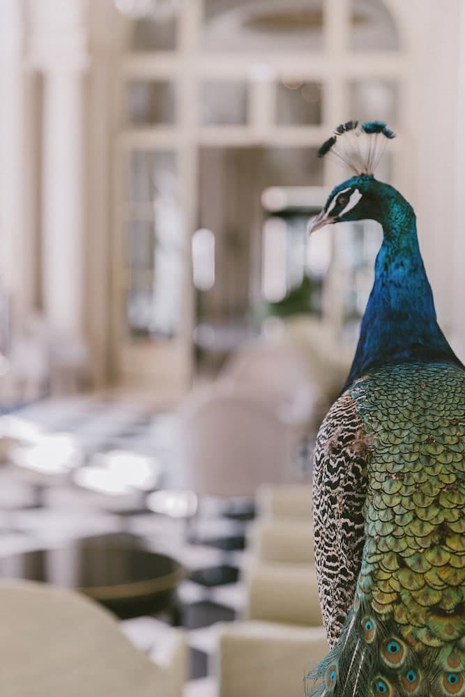 Waldorf Astoria Versailles - Trianon Palace