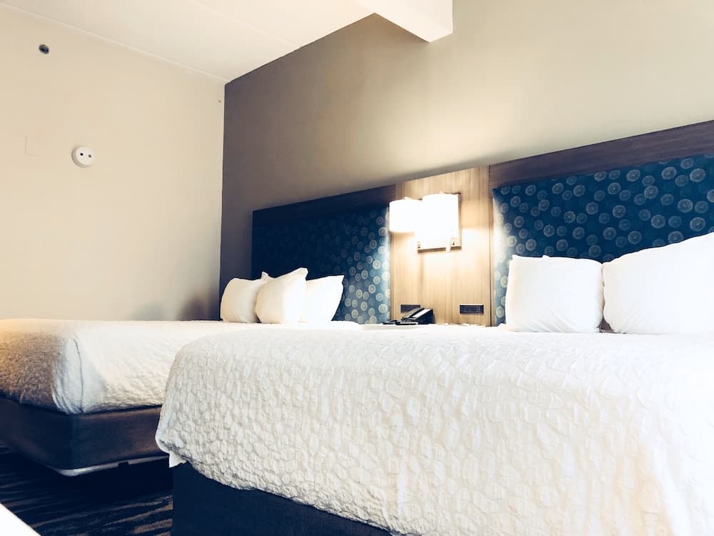 Comfort Inn & Suites Greenville Near East Carolina University