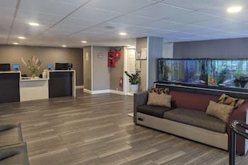 Quality Inn & Suites Northampton - Amherst