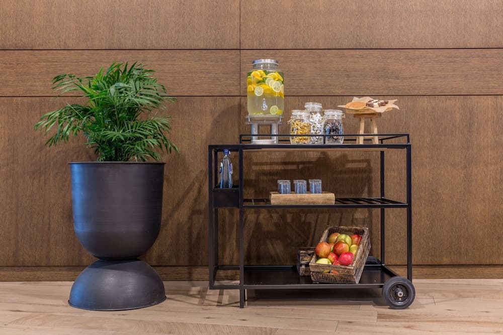 Radisson Blu Hotel Amsterdam Airport Schiphol