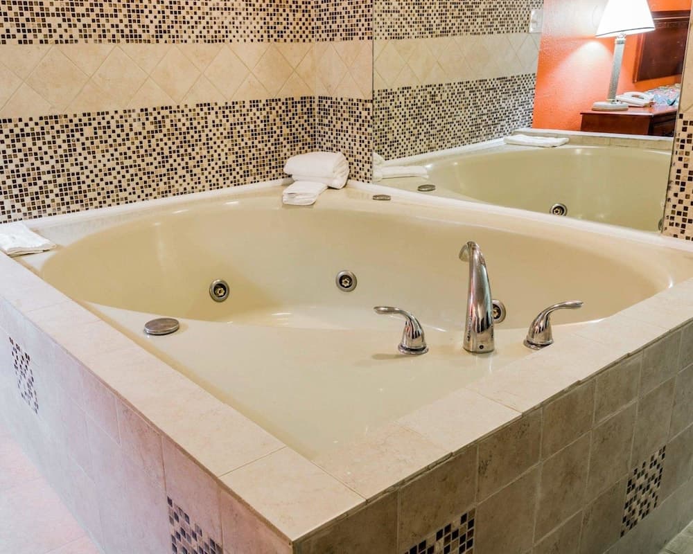 Rodeway Inn Auburn Hills - Detroit