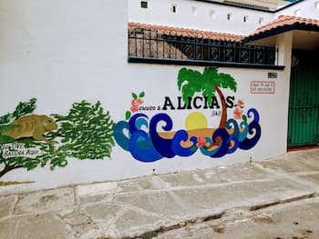 Alicia's Bed & Breakfast