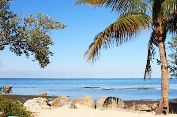 Conch Key Fishing Lodge and Marina