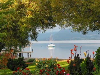 Lakeshore Bed & Breakfast