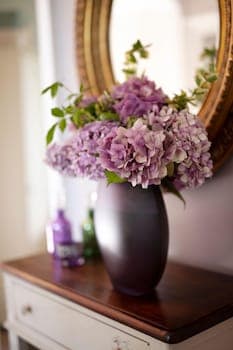 Goss Hall Bed & Breakfast