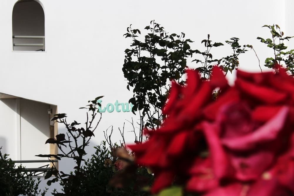 Skion Palace Beach Hotel - Bungalows Boutique